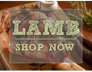 Lamb